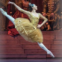 balletto and friends | Katherine Rodrigez