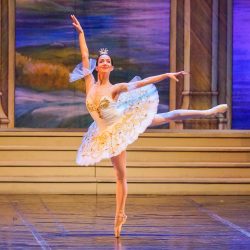 balletto and friends | Aneliya Dimitrova