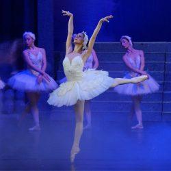 balletto and friends | Aneliya Dimitrova