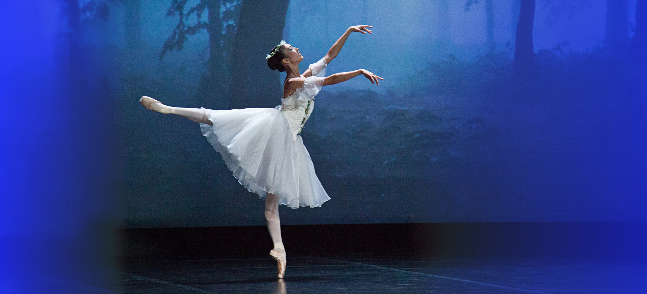 balletto ballettgala